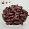 Granos de riñón rojos británicos orgánicos Granos de riñón rojos oscuros Variedad de Shanxi 180-200pcs / 100g